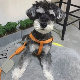 TouchDog Графин