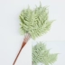 Mô phỏng tiền lá mô phỏng lá hoa bạch đàn lá giả cây xanh trang trí lá hoa cắm bó hoa với cỏ - Hoa nhân tạo / Cây / Trái cây
