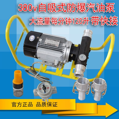 12V24V220V Насосное насосное насосное насос -Проницаемый бензиновый метанол дизельный дизельный электрический