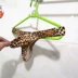 Móng tay nam Quần lót U Convex Sexy Đinh Quần vui nhộn Eo thấp Thong Đàn ông Leopard Ngụy trang Cám dỗ Thong Quần