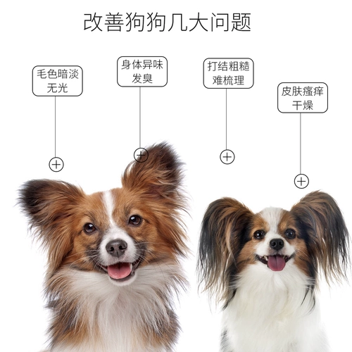 ПЭТ БАНКА волновой душевой гель душ ароматный магазин обратно в тысячи геля для душа с высоким уровнем жидких кошек и собак ладан