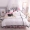 Công chúa phong cách cotton trắng giường bốn bộ bông ren bên 1,8m gạo đôi giường đơn chăn ga giường phong cách châu Âu - Bộ đồ giường bốn mảnh