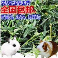 Кролик и кролика сухой трава голландская свиная ароматная свиная
