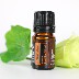 doTERRA Dotray arborvitae tinh dầu đơn phương 5ml tinh khiết tự nhiên sạch không khí mạnh mẽ làm sạch thuốc chống côn trùng - Tinh dầu điều trị dầu tràm Tinh dầu điều trị