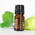 doTERRA Dotray arborvitae tinh dầu đơn phương 5ml tinh khiết tự nhiên sạch không khí mạnh mẽ làm sạch thuốc chống côn trùng - Tinh dầu điều trị