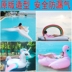 Vòng tròn bơi lội người lớn gắn kết nước bơm hơi hàng nổi thiên nga kỳ lân siêu mới tăng vàng gắn kết phao tam Cao su nổi