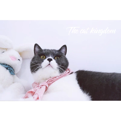 Слюнявчик, милый многоцветный шейный платок, нагрудник, шарф, делается под заказ