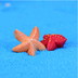 Mini Rùa Starfish Bể cá Thủy cung Cảnh quan Micro Cảnh trang trí Eco Chai tự làm Vật liệu trang trí Hoa chậu Phụ kiện - Trang trí nội thất phụ kiện trang trí phòng khách đẹp Trang trí nội thất