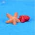 Mini Rùa Starfish Bể cá Thủy cung Cảnh quan Micro Cảnh trang trí Eco Chai tự làm Vật liệu trang trí Hoa chậu Phụ kiện - Trang trí nội thất thiết kế phòng thờ Trang trí nội thất