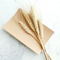 5 ушей пшеницы