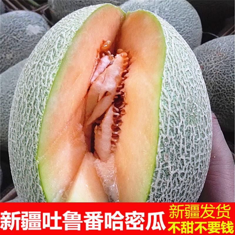 新低 中国最好吃的哈密瓜！以稀 新疆火焰山西州蜜 25号 2个 重7斤