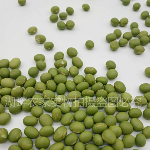 Shuangqingdou Green Core Dry Green Bean Разное зерно зеленый Ren ren xiaoqing фасоль фермеры самостоятельно продукты для новых товаров.