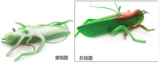 仿真蝗虫软胶动物玩具软体仿真大蝗虫愚人恐吓整人发泄橡胶蝗虫