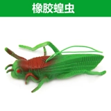 仿真蝗虫软胶动物玩具软体仿真大蝗虫愚人恐吓整人发泄橡胶蝗虫
