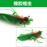 仿真蝗虫软胶动物玩具软体仿真大蝗虫愚人恐吓整人发泄橡胶蝗虫