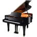 Đàn piano Spyker mới của Châu Âu thủ công thương mại đại học chuyên nghiệp trình độ chuyên nghiệp grand piano 186TG - dương cầm dương cầm