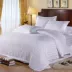 Khách sạn năm sao bộ đồ giường khách sạn bán buôn bông mã hóa khách sạn chăn satin bao gồm bông trắng chăn trắng - Quilt Covers Quilt Covers