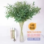 Mô phỏng cành ô liu trang trí đám cưới vật liệu hoa mô phỏng cây xanh lá cây cực cao lá ô liu hoa đạo cụ chụp ảnh hoa - Hoa nhân tạo / Cây / Trái cây hoa tử đằng giả