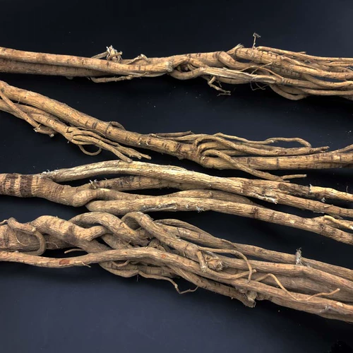 Источник Бао Чжэнчун Чангбай Маунтин Дикий Шан Шангжи Астрагал, серная, хлопчатобумажная труба, Корала 250 грамм сухих продуктов