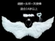 Big 110*60 Angel Swallow Type 3 -Piece Set