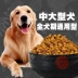 Thức ăn cho chó loại chung 20kg40 kg vận chuyển teddy vàng tóc samoyed huskies side puppies dành cho người lớn dog staple thực phẩm