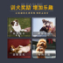 Dog Snacks Túi quà tặng Thịt bò Gà Gà Chips Bánh quy nhỏ Sushi Teddy Golden Retriever Giải thưởng đào tạo - Đồ ăn vặt cho chó thức ăn cho chó Đồ ăn vặt cho chó