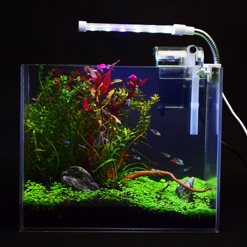 Акриловый рыболочный талочный офис на рабочем столе -типе маленький ковш -рыболочный танк гостиная Домохозяйство Маленькая аквариум экологическая ультра -белая травяная бак