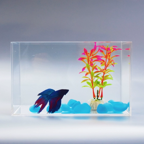 Акриловый рыболочный талочный офис на рабочем столе -типе маленький ковш -рыболочный танк гостиная Домохозяйство Маленькая аквариум экологическая ультра -белая травяная бак