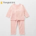 Bộ đồ lót mùa xuân và mùa hè Tong Tai 2020 bộ đồ lót nam và nữ 1-3 tuổi kho báu bộ đồ lót cotton mùa thu 3237 - Quần áo lót