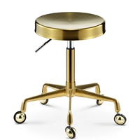 Золотая нержавеющая сталь стул поверхностного алюминиевого сплава зубы когти-сплав-сплав