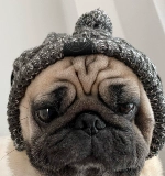 Шерстяная брендовая демисезонная удерживающая тепло шапка