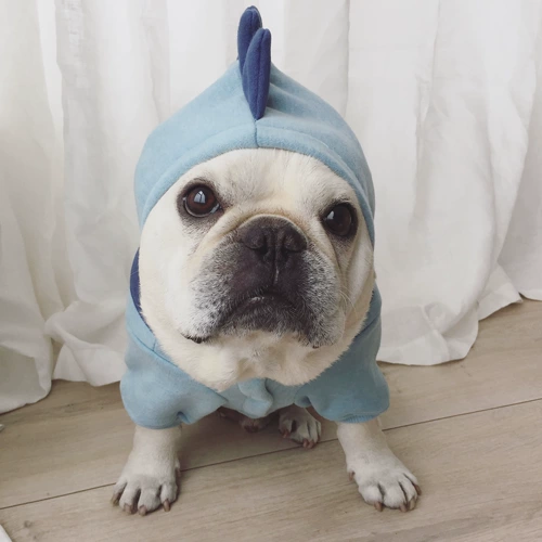 Утепленная толстовка, демисезонный динозавр, домашний питомец