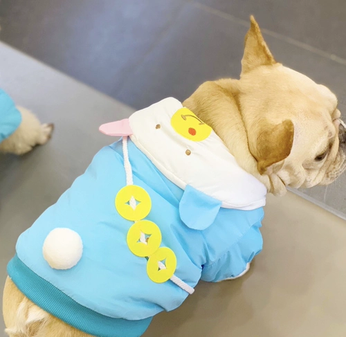 Боевая хлопчатобумажная комната, хлопчатобумажная куртка, борьба с хлопчатобумажным покрытием, домашнее собака, зимняя труба