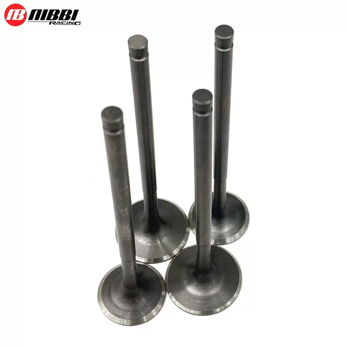 Модификация долины Nibi Zongshen NC250 300CC внедорожный мотоцикл двигатель клапан впускной выпускной компонент