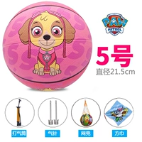 № 5 Wangwang Team Pink каждый день