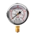 Hongqi Dụng cụ đo áp suất địa chấn YTN-60 máy đo thủy lực chống sốc và chống sốc 0-1.6MPA áp suất dầu phong vũ biểu áp suất nước 