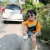 Quần áo trẻ em Komori phiên bản Hàn Quốc áo thun trễ vai 2019 hè mới nam bé ngoại chữ in tay áo ngắn - Áo thun shop trẻ em Áo thun