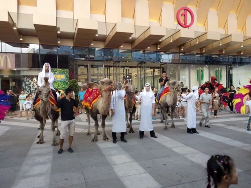 Camel Rental, верблюжья выставка Live Camel, чтобы продать взаимодействие команды верблюдов