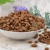 CD vào mèo bảo vệ thực phẩm ruột tiêu chảy-loại thức ăn cho mèo 500 gam số lượng lớn túi giấy nhôm thức ăn royal canin Gói Singular
