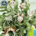 Cross stitch thêu công cụ thêu kim hút nam châm cầm kim chọc hút bằng kim thêu hoạt hình thẻ từ tùy chọn 23, - Công cụ & vật liệu may DIY kéo bấm Công cụ & vật liệu may DIY