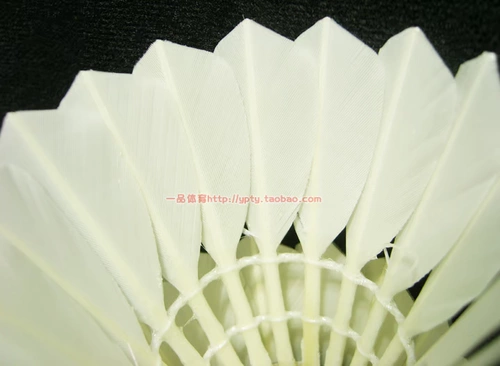 3 ведра бесплатных носков для доставки Sun Sun Badminton T-03 T03 T06 Игровой тренировочный клуб