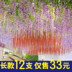 Hoa giả hoa giả hoa wisteria bó hoa tím đậu hoa nụ hoa mây lá đám cưới trang trí nội thất vòm nho - Hoa nhân tạo / Cây / Trái cây cây hoa đào giả Hoa nhân tạo / Cây / Trái cây