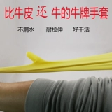 Bull Brand Latex Gloves, посуду, прачечная, прочная и толстая женская говядина Страхование труда страхование рабочей силы.