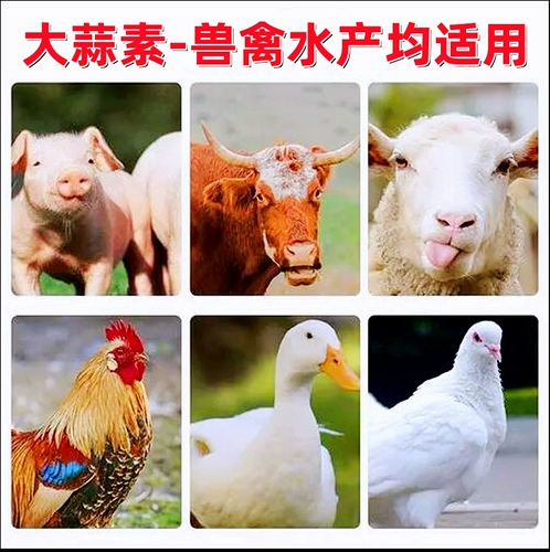 Звери, птица, птица, животное, свинья, говядина, кроличьи голубь, рыба, домашние животные, стерилизация стерилизации и соблазнительные кормовые добавки Бесплатная доставка