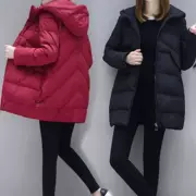 Khuyến mãi chống mùa mới xuống bông pad Phiên bản Hàn Quốc rộng rãi của phụ nữ rộng rãi áo khoác có đệm dài - Bông