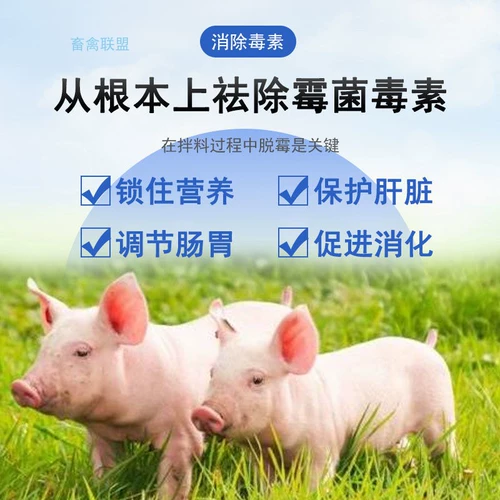 Зверя, индуцированные мусором зверь