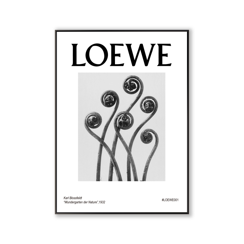 DLOEWE-2ins Decorative painting Northern Europe Drawing room restaurant couture Floor painting Porch bedroom Minority Hang a picture