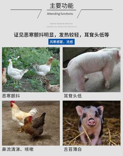 Джингфанг Санда Звери с подлинным куриным кашлем и простудными свиньями с ясной чумой, чтобы помочь ветеринарной фармацевтической препарате Чжэн Син Стоун Ган Ган Ганпин