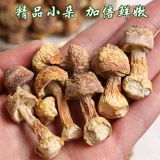 Сера -Бесплатный сухой сухой сухой юннань -джиусато сухой сухой флагманский магазин Grasson Mushroom Lammac