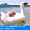 Bảo vệ môi trường dày đặc PVC flamingo kỳ lân bé bơi vòng trẻ em ghế thiên nga trắng phim hoạt hình nổi vòng - Cao su nổi phao hồng hạc